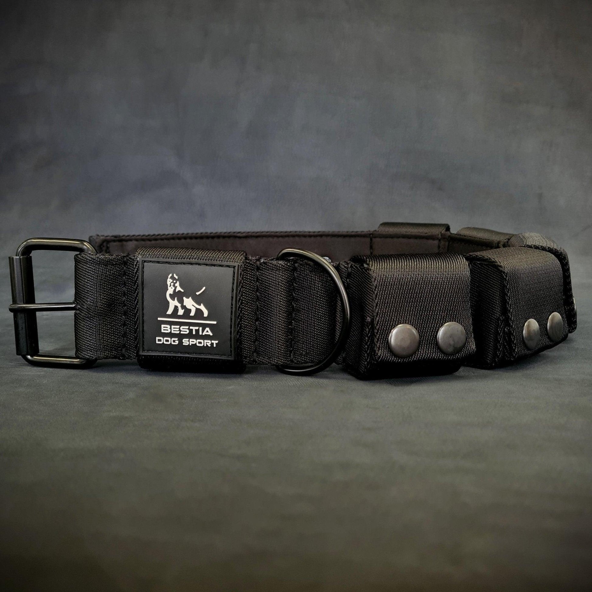 Weighted dog training collar. Large breeds. 5 lbs total. removable weights-1