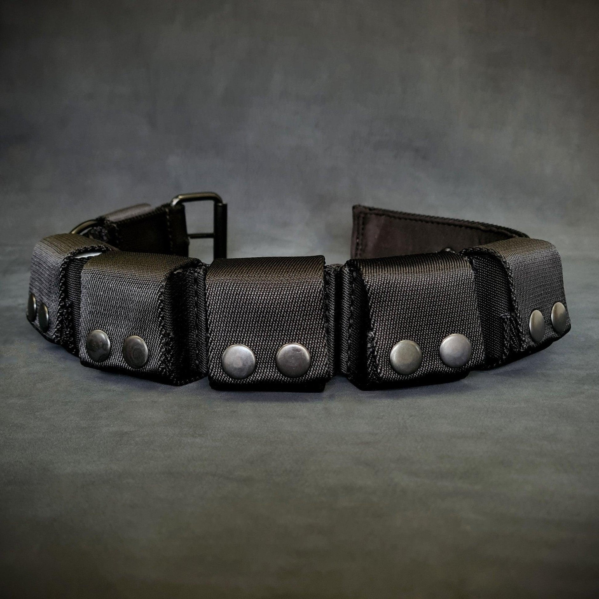 Weighted dog training collar. Large breeds. 5 lbs total. removable weights-2