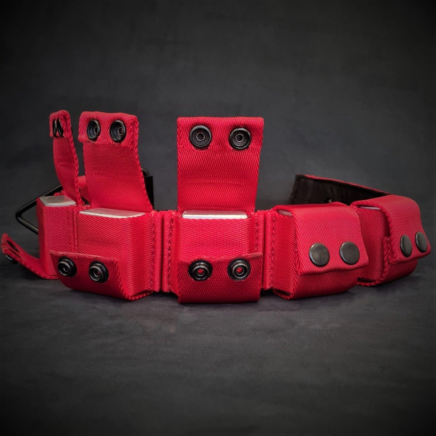 Weighted dog training collar- Red. Large breeds. 5 lbs total. removable weights-3